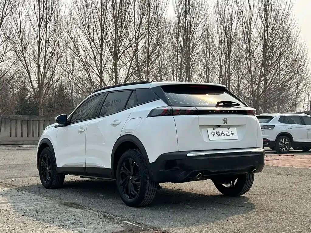 Peugeot 2008 2022 из CN, фото 5