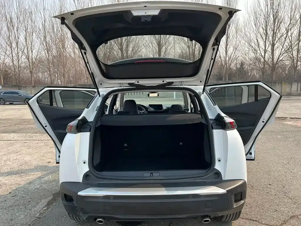 Peugeot 2008 2022 из CN, фото 6