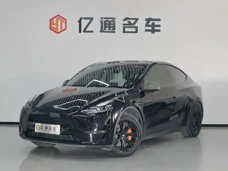 Tesla Model Y 2021 из CN, фото 1