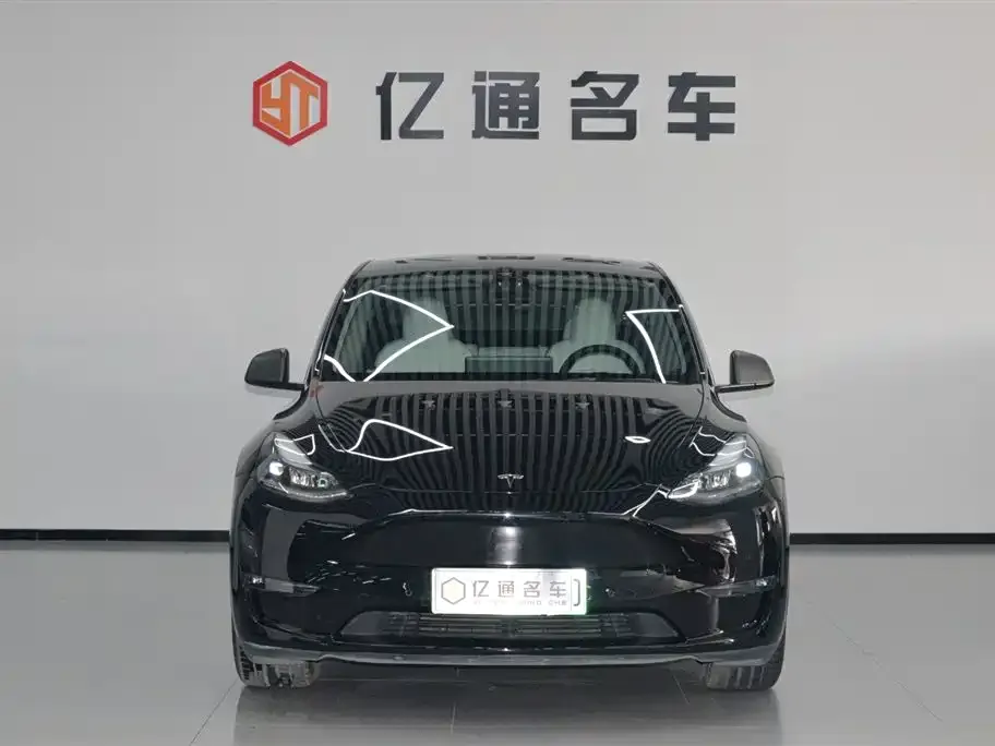 Tesla Model Y 2021 из CN, фото 8