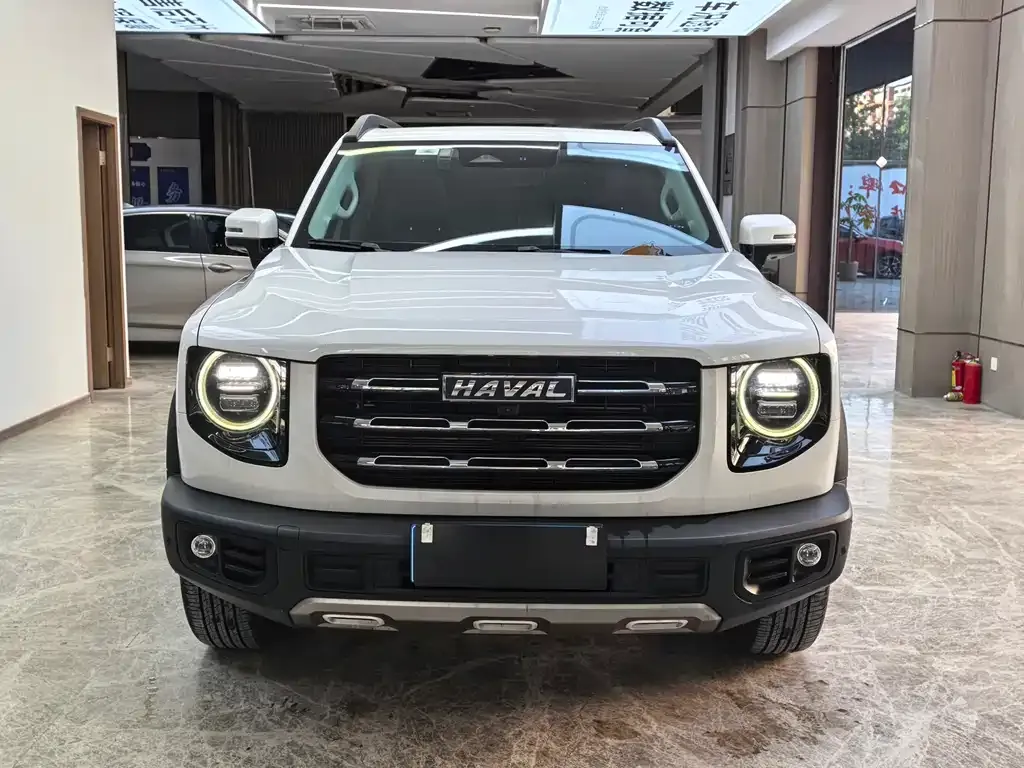 Haval Big Dog 2023 из CN, фото 3