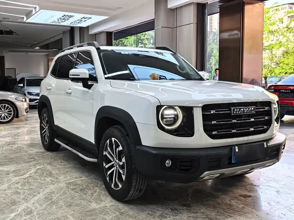 Haval Big Dog 2023 из CN, фото 6