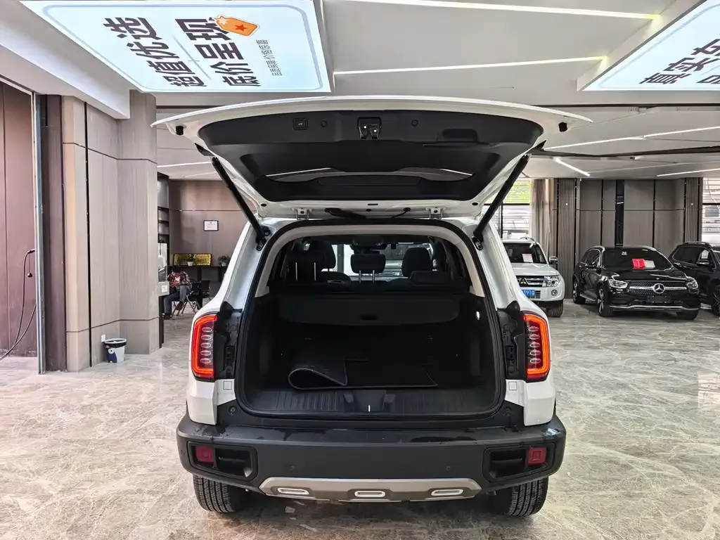 Haval Big Dog 2023 из CN, фото 10