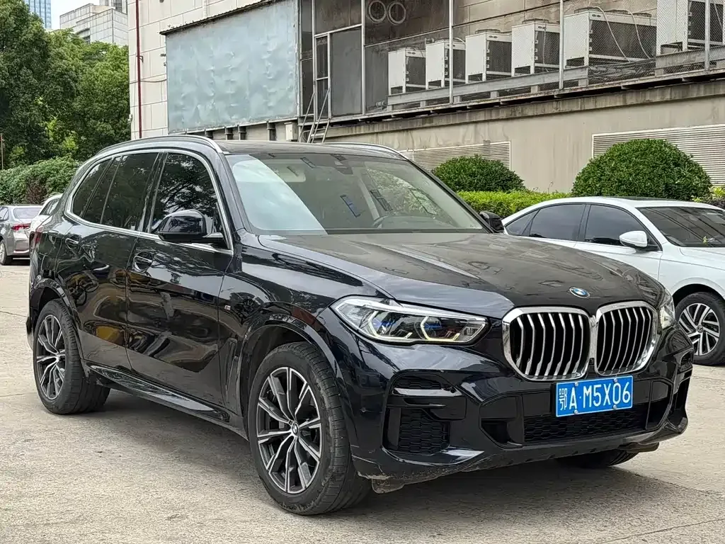 BMW X5 (Import) — фото 6
