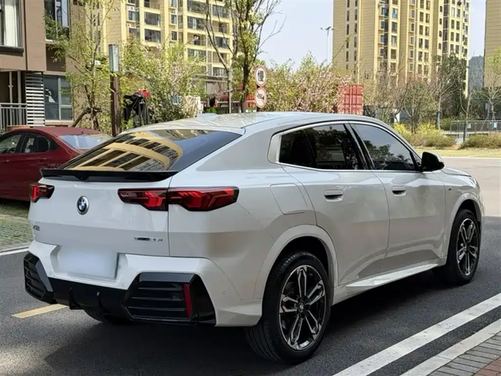 BMW X2 (Import) 2025 из CN, фото 9