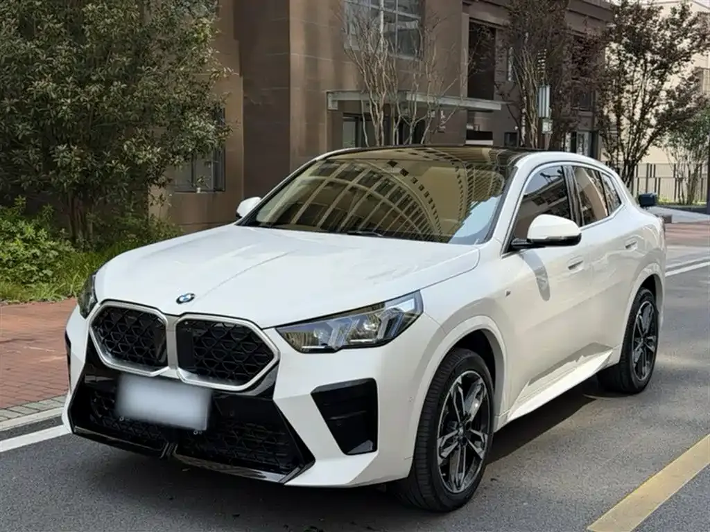 BMW X2 (Import) 2025 из CN, фото 8