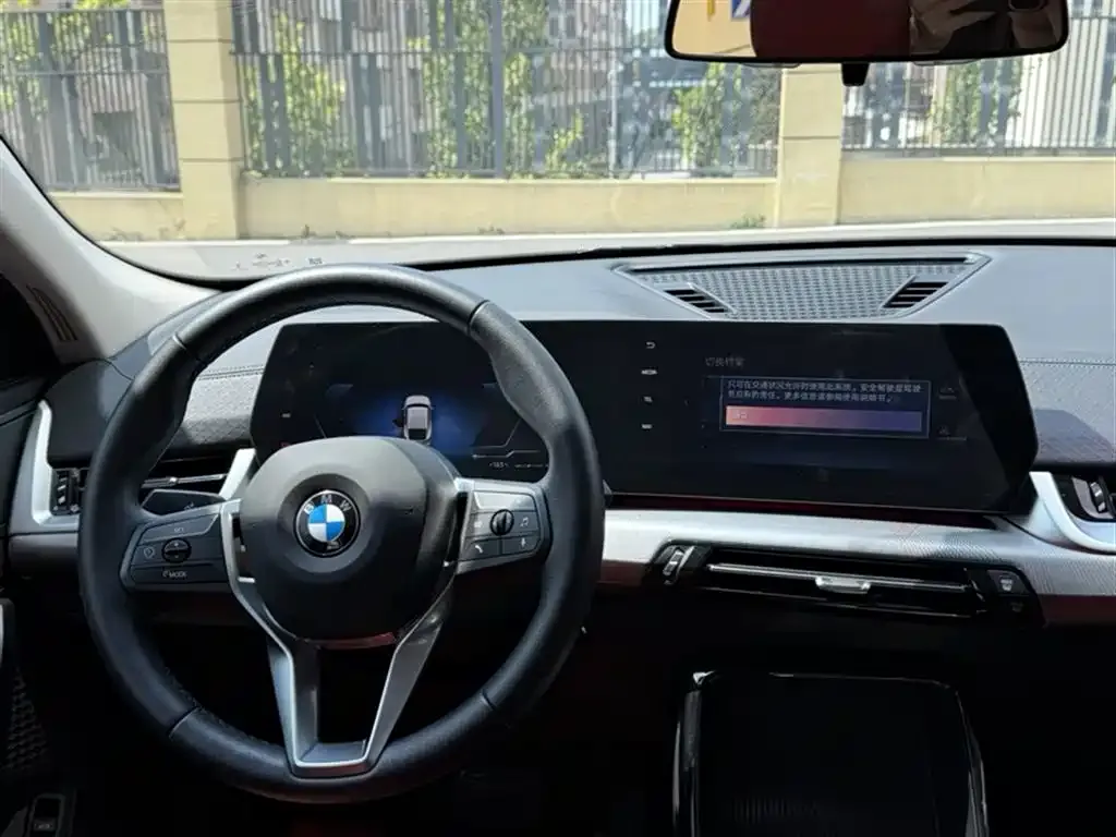 BMW X2 (Import) 2025 из CN, фото 6