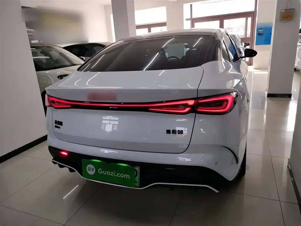 BYD Seal 06 — фото 10