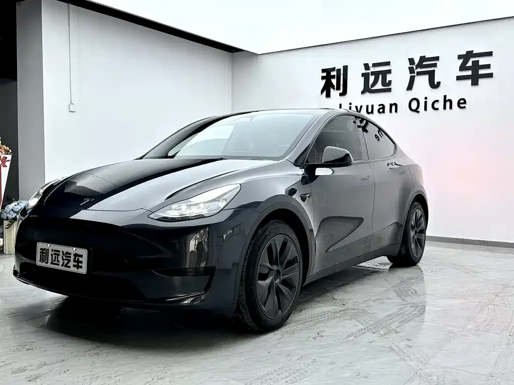 Tesla Model Y — фото 5