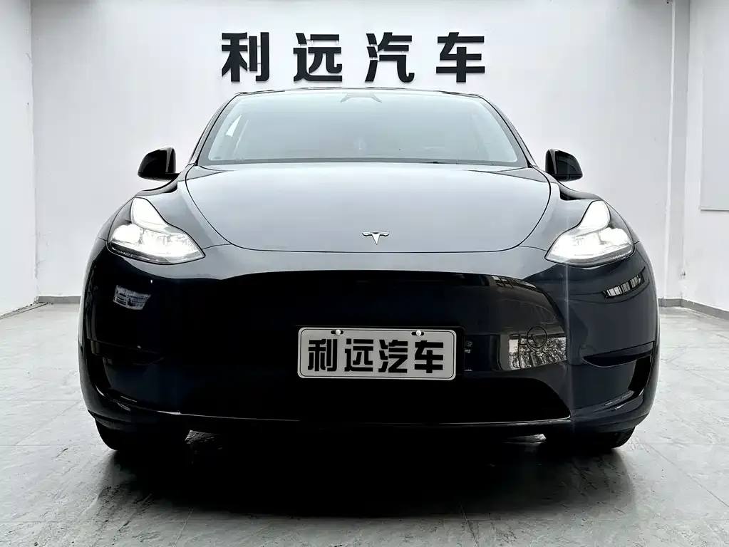 Tesla Model Y — фото 2