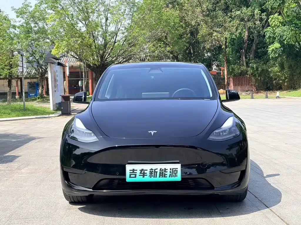 Tesla Model Y — фото 8