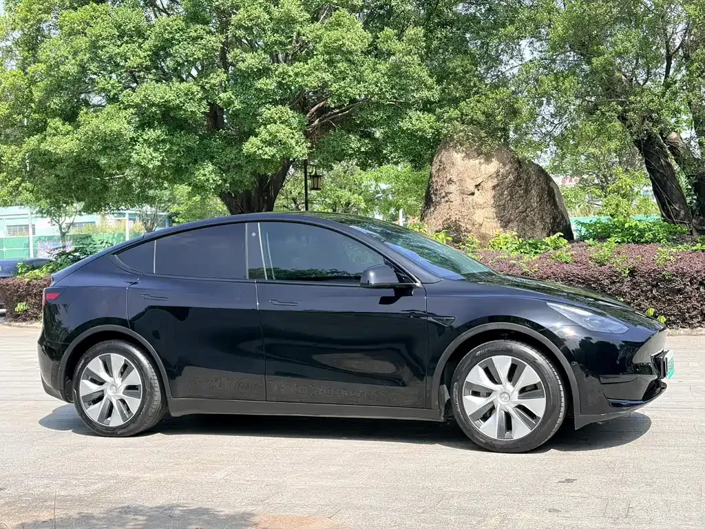 Tesla Model Y — фото 10
