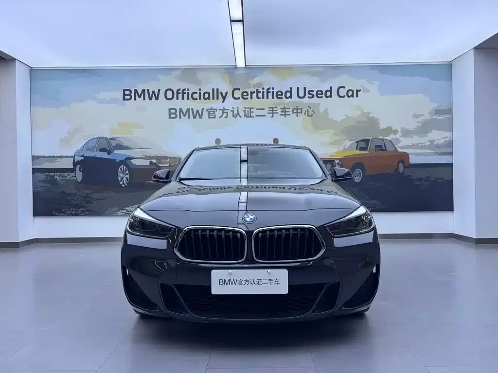 BMW X2 2022 из CN, фото 8