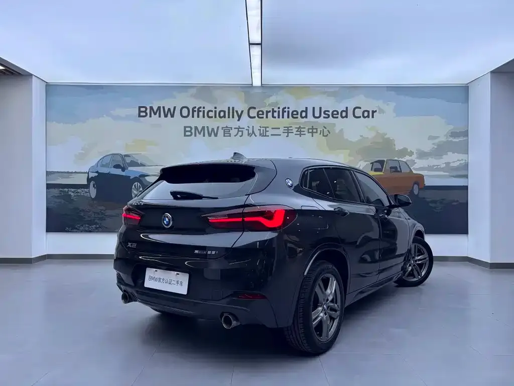 BMW X2 2022 из CN, фото 10