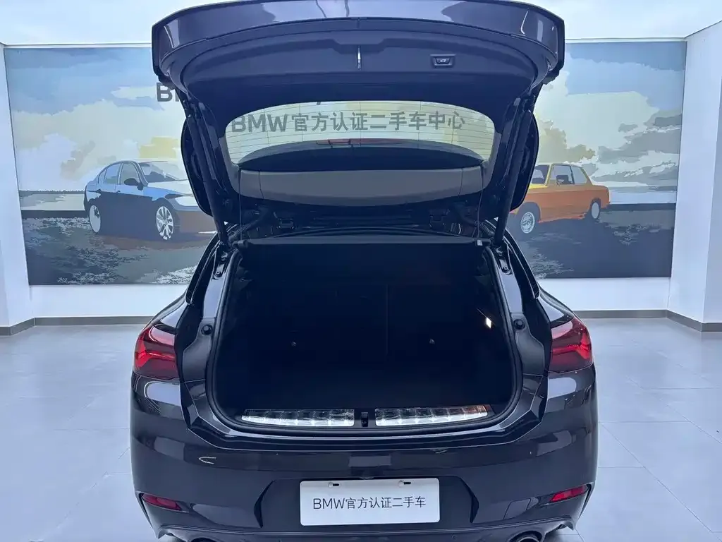 BMW X2 2022 из CN, фото 6