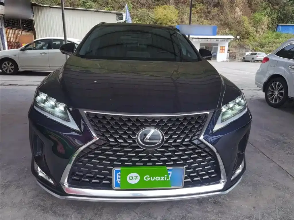 Lexus RX — фото 10
