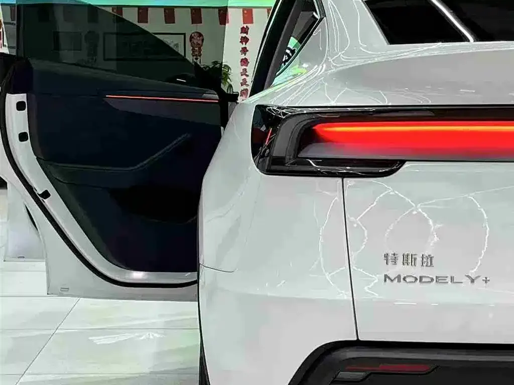 Tesla Model Y — фото 3