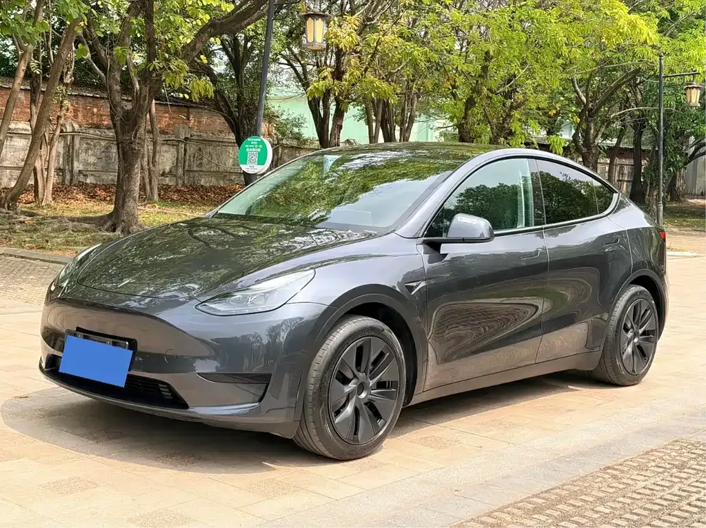 Tesla Model Y — фото 1