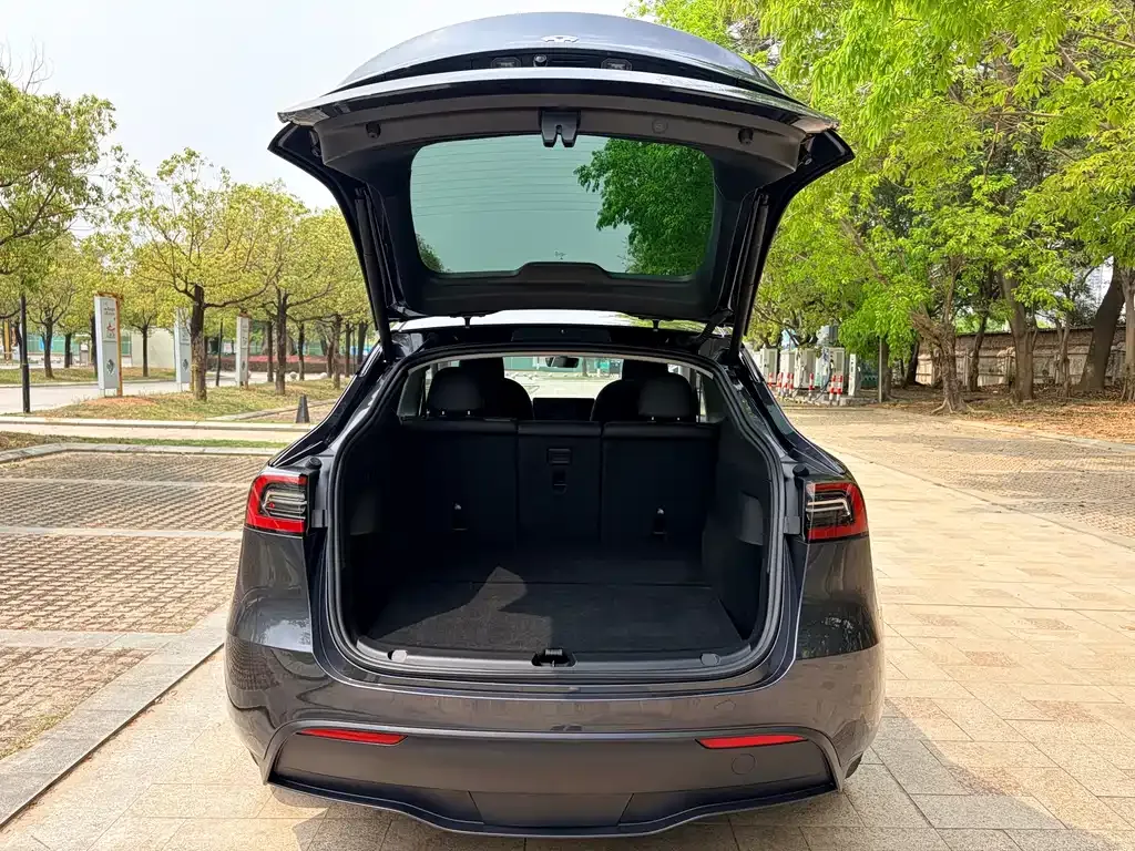 Tesla Model Y — фото 9