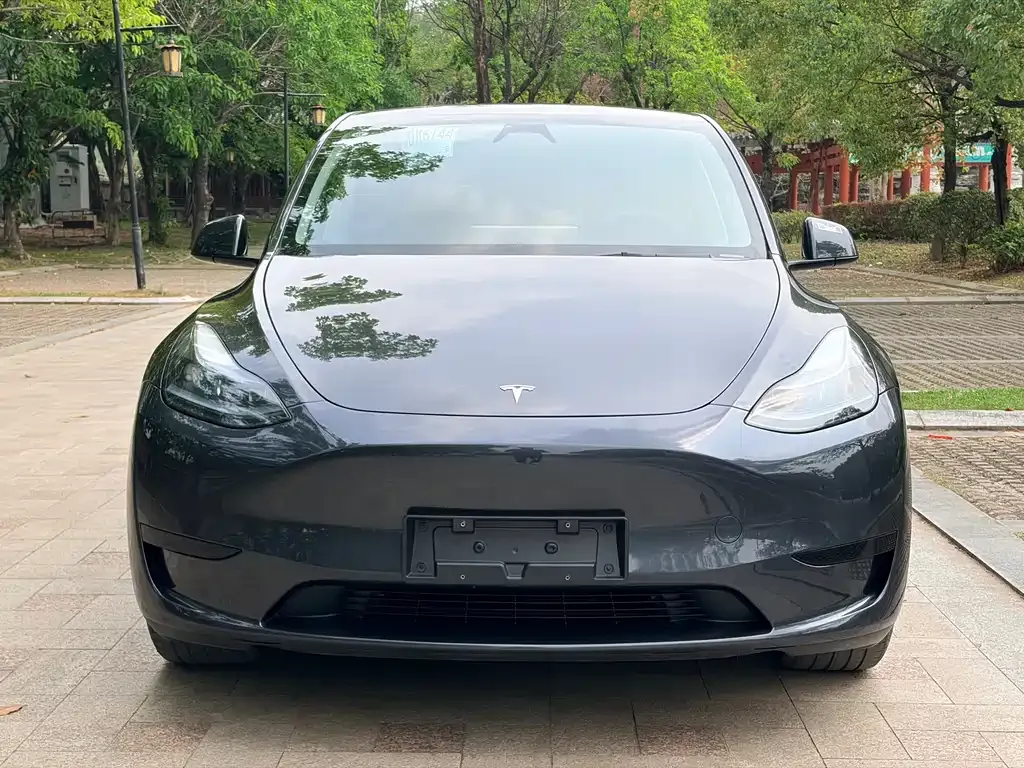 Tesla Model Y — фото 6
