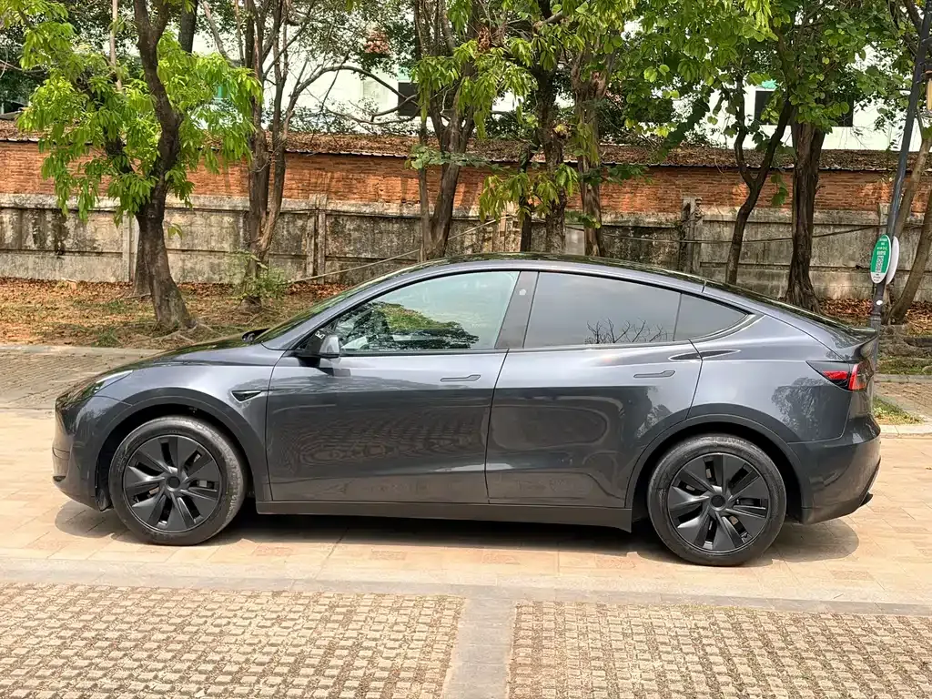 Tesla Model Y — фото 10