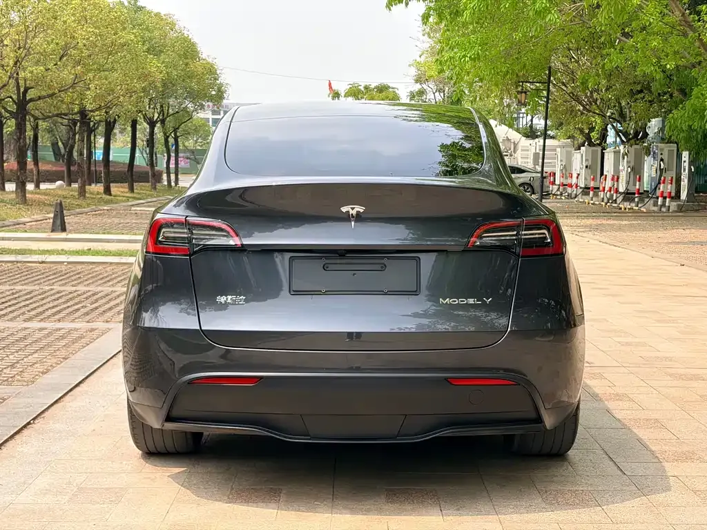 Tesla Model Y — фото 4