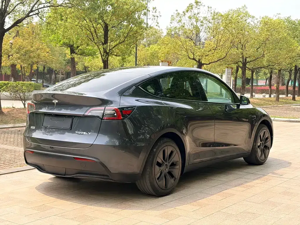Tesla Model Y — фото 2