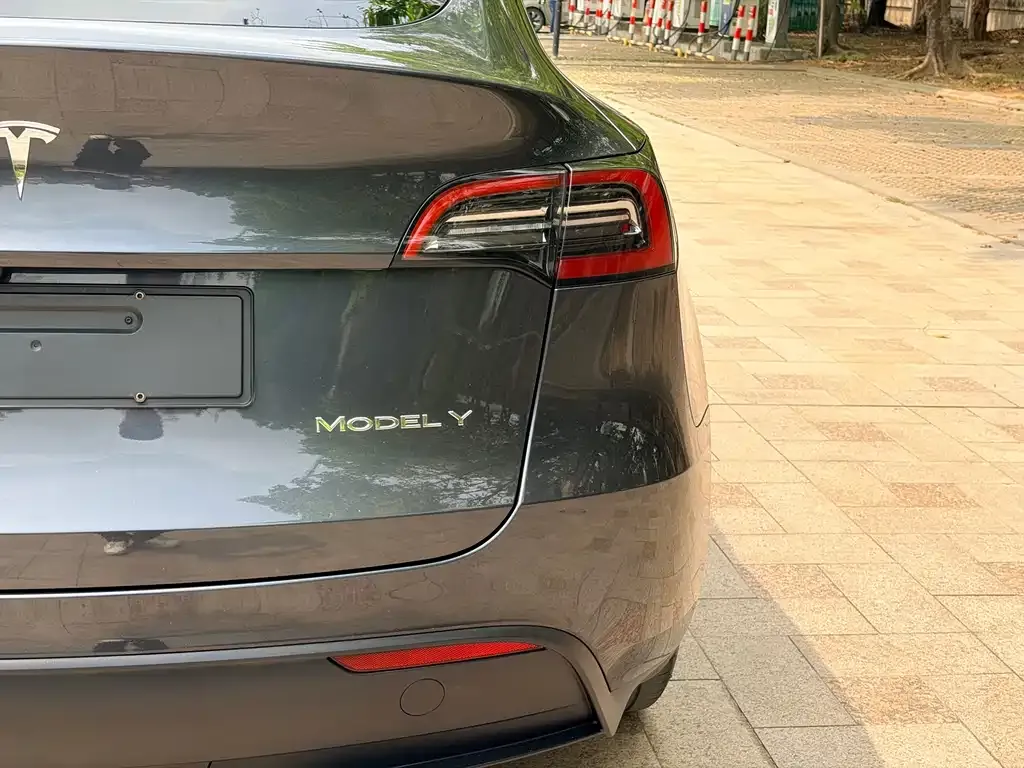 Tesla Model Y — фото 3