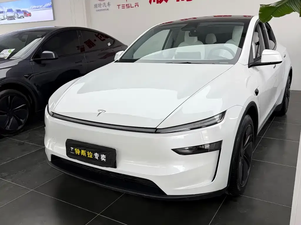 Tesla Model Y — фото 1
