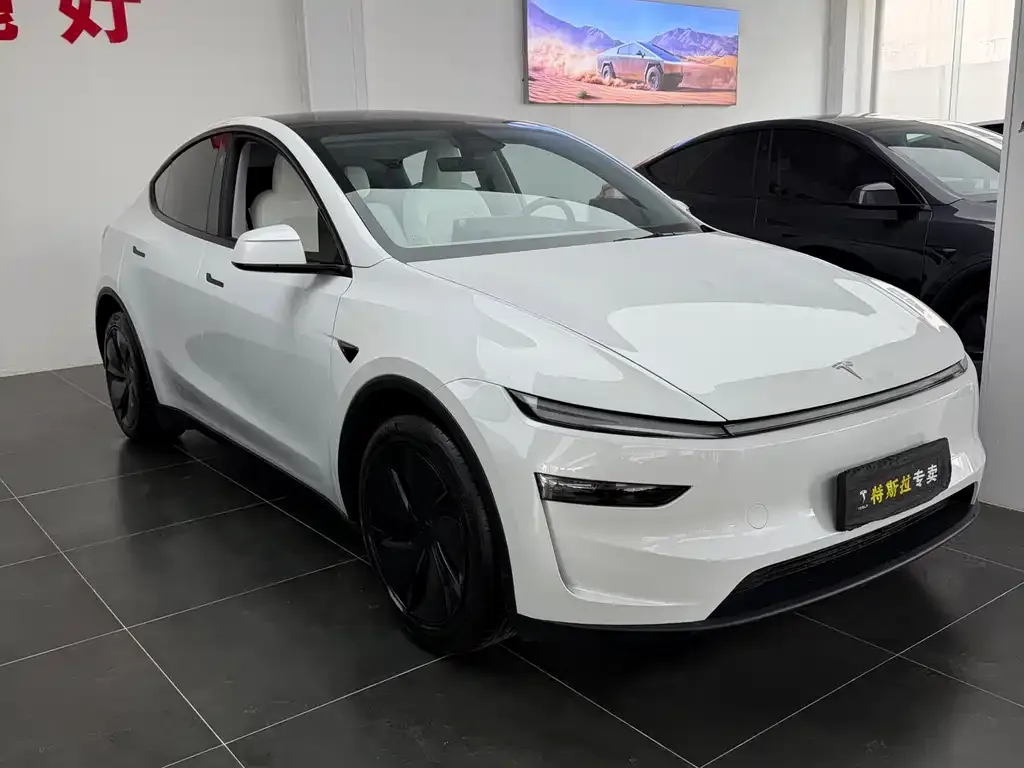 Tesla Model Y — фото 3