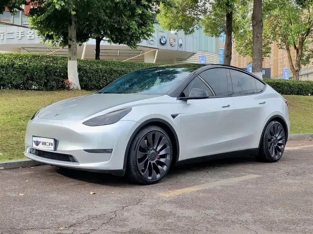 Tesla Model Y — фото 1