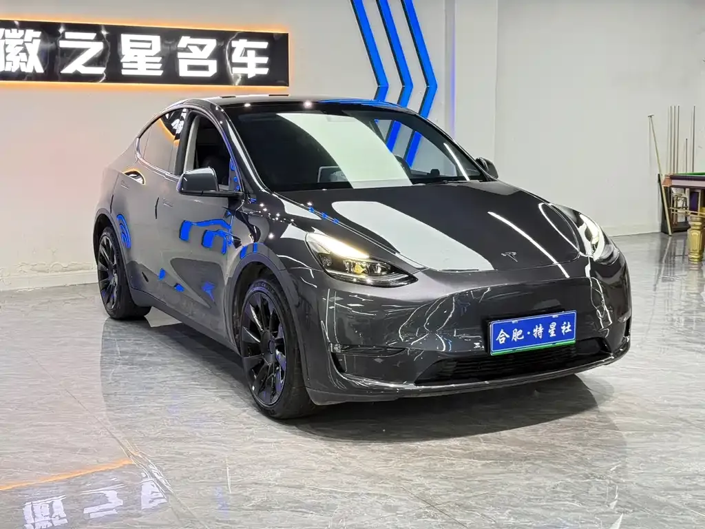 Tesla Model Y — фото 1