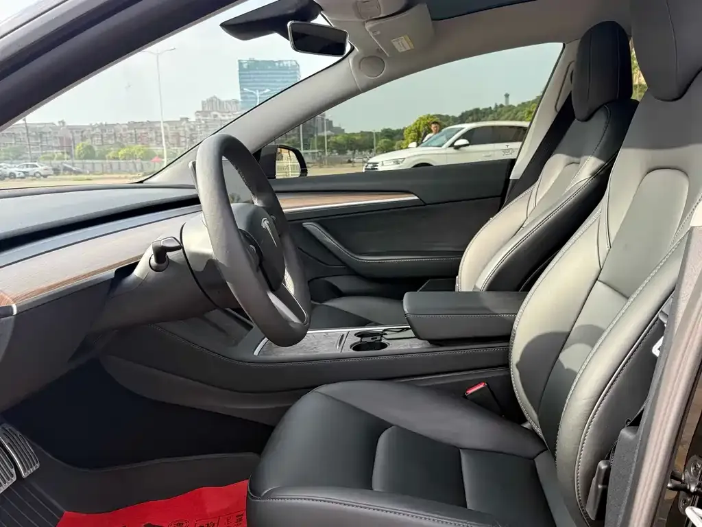 Tesla Model 3 2023 из CN, фото 4