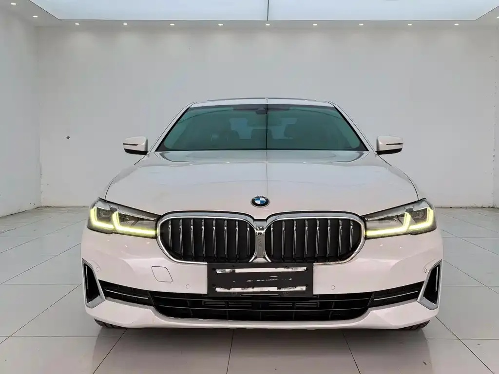 BMW 5 Series 2022 из CN, фото 7
