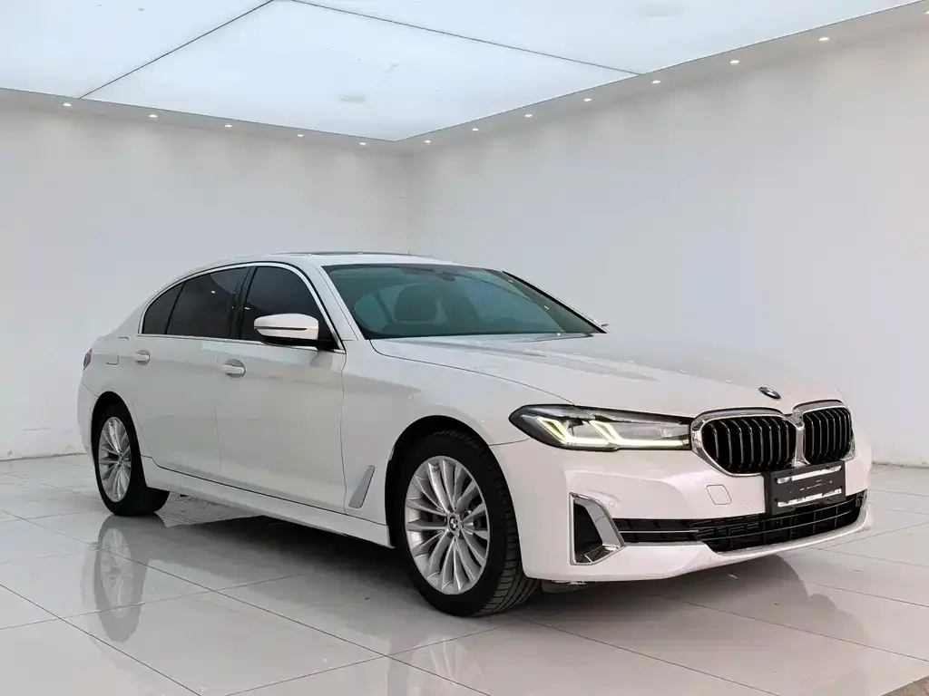 BMW 5 Series 2022 из CN, фото 10