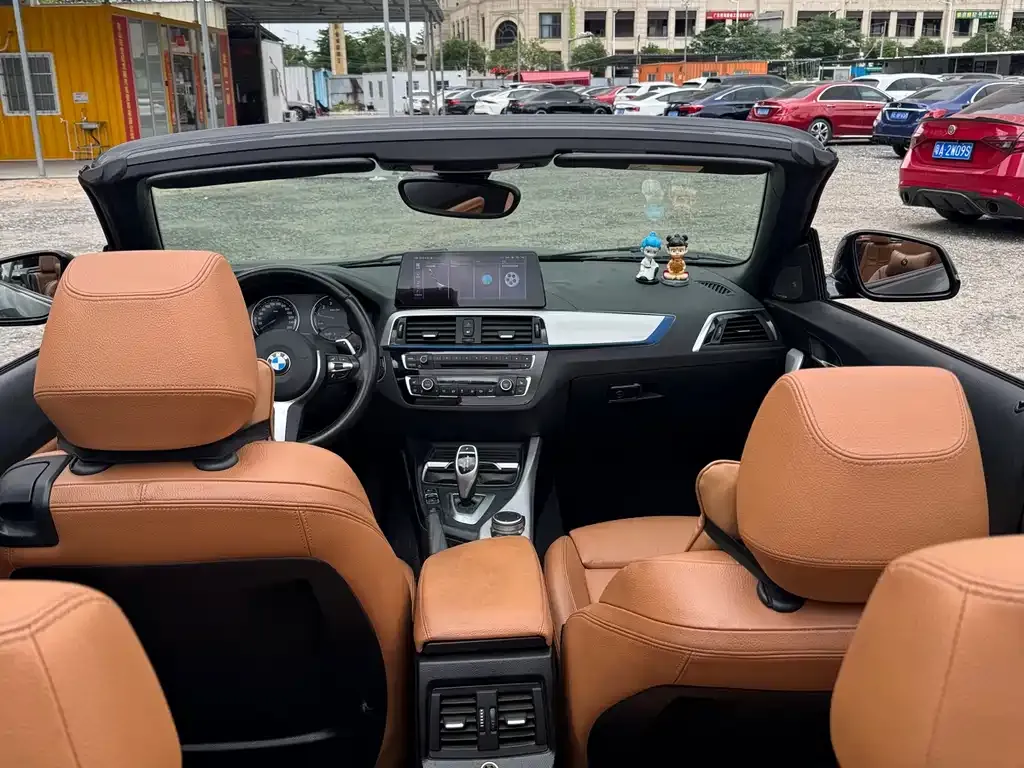 BMW 2 Series (Import) 2021 из CN, фото 7