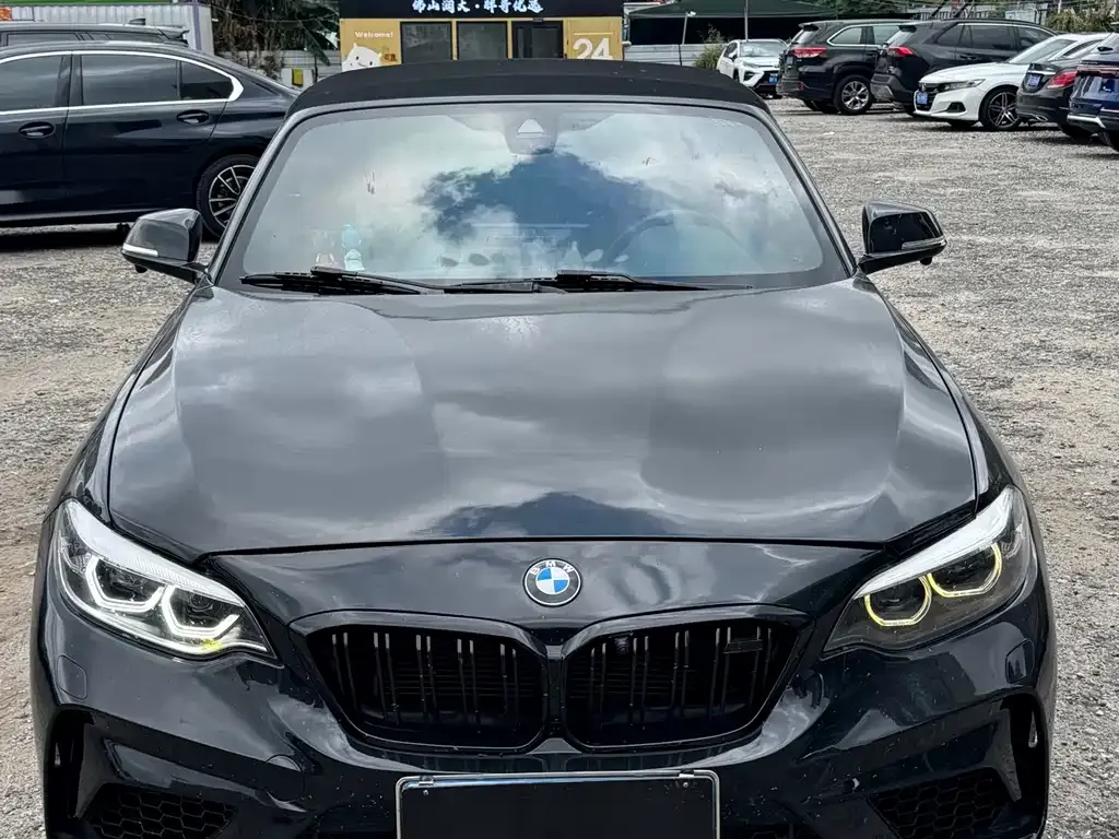 BMW 2 Series (Import) 2021 из CN, фото 5