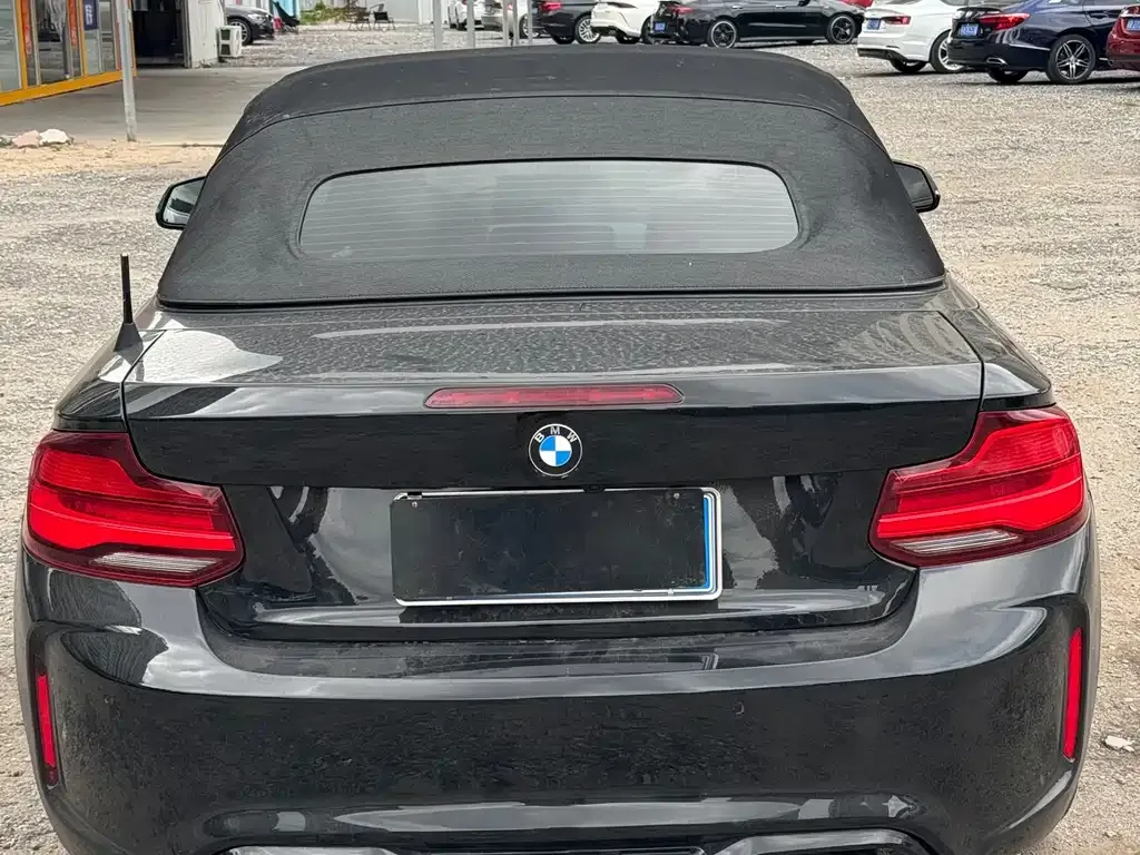 BMW 2 Series (Import) 2021 из CN, фото 8