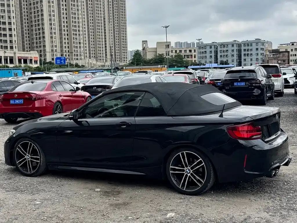BMW 2 Series (Import) 2021 из CN, фото 6