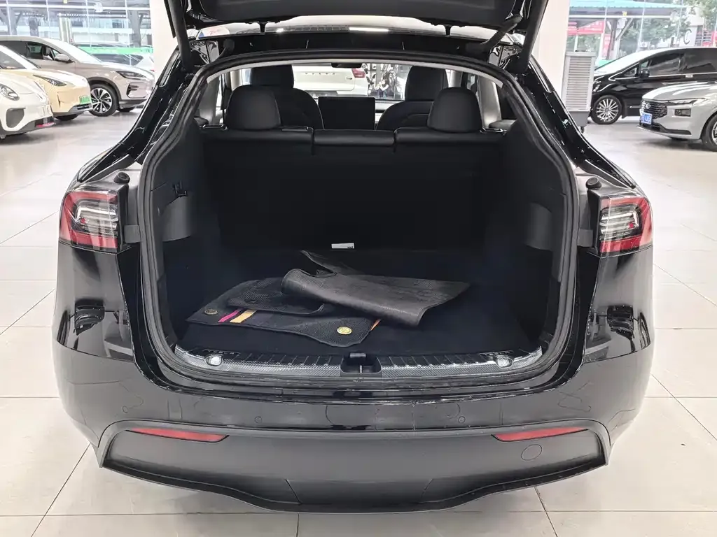 Tesla Model Y — фото 9