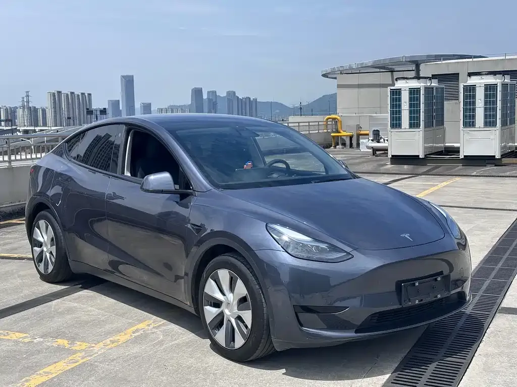 Tesla Model Y — фото 10