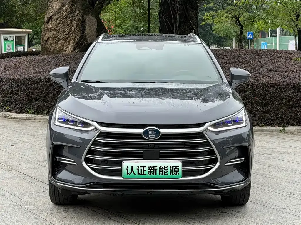 BYD Tang New Energy — фото 4
