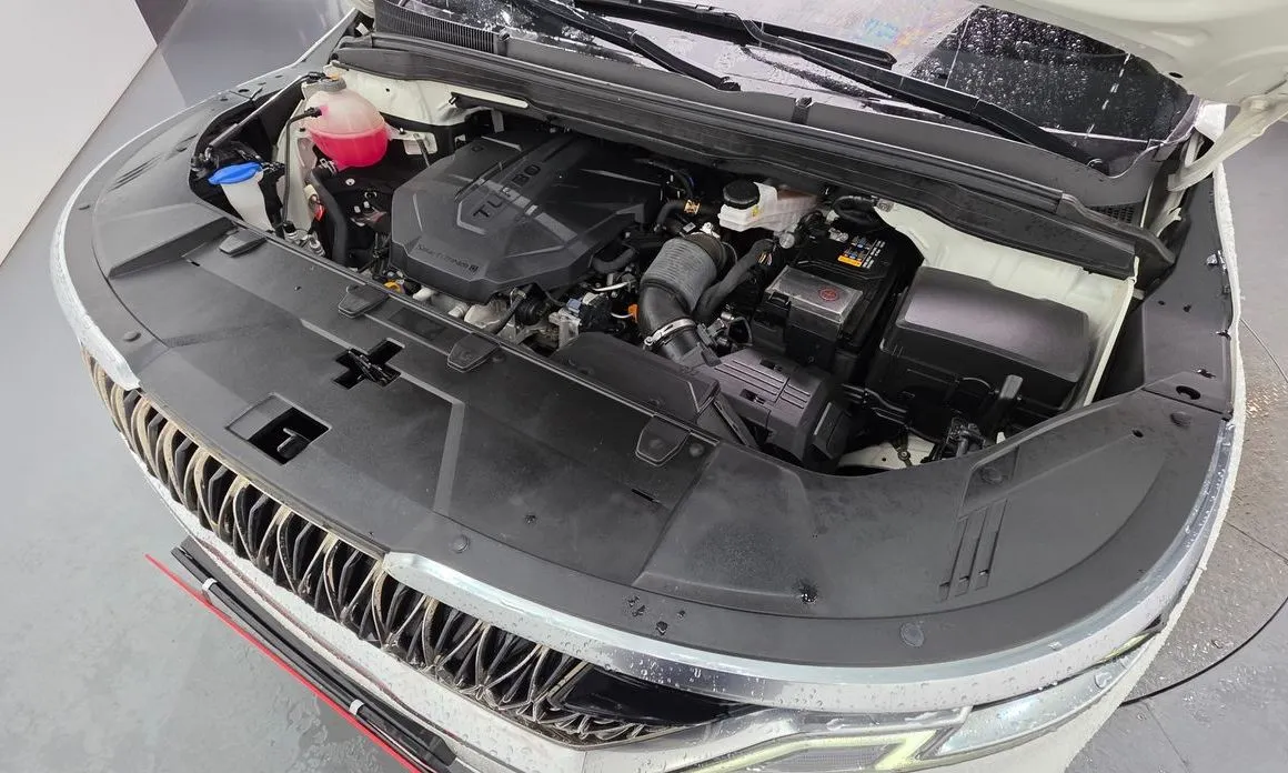 Kia Carnival — фото 10