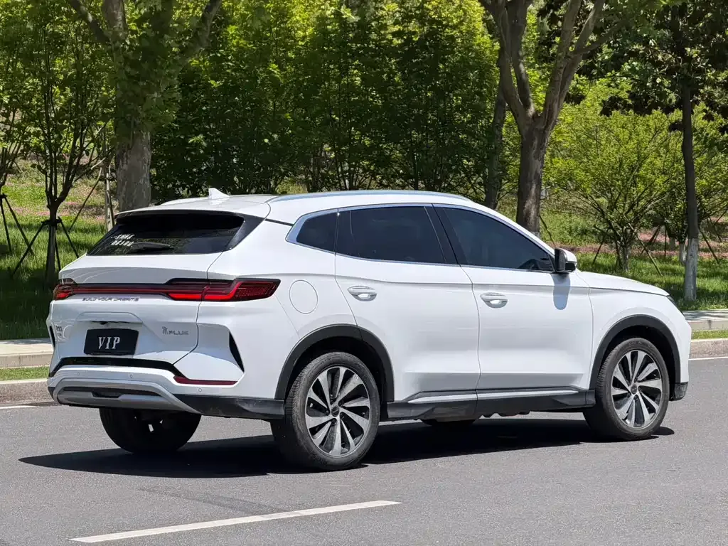 BYD PLUS New Energy — фото 5