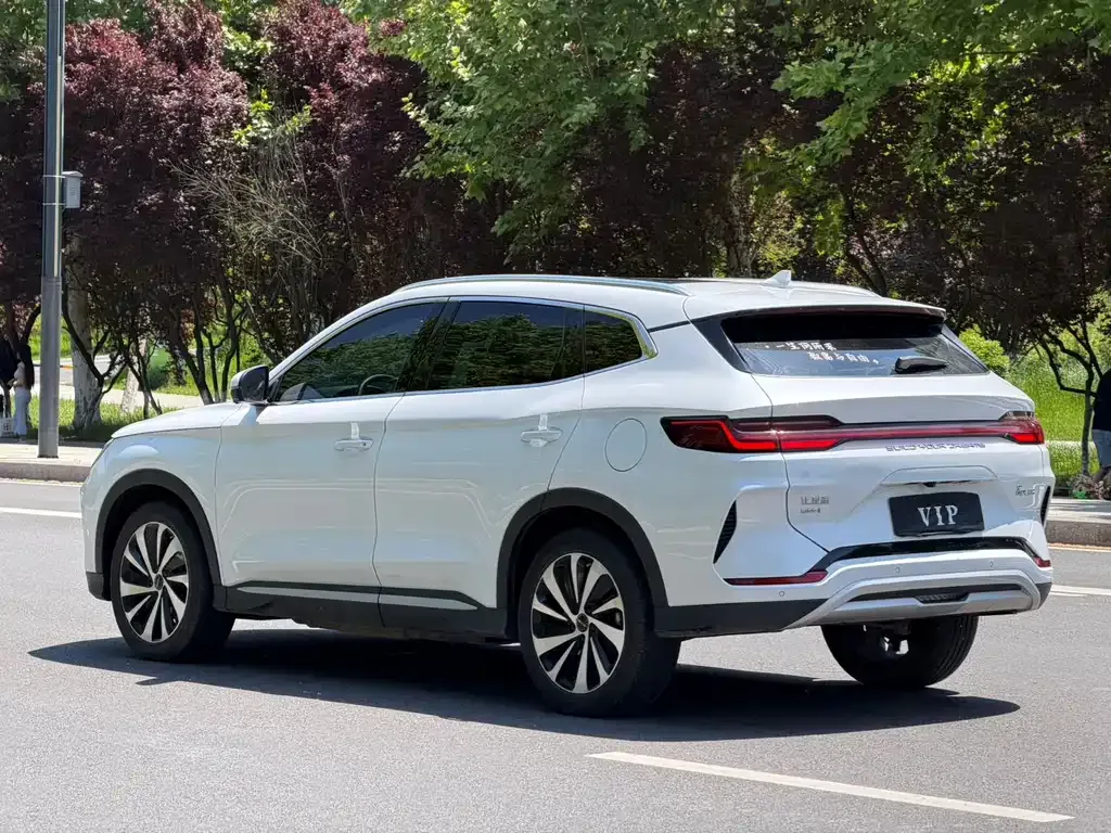 BYD PLUS New Energy — фото 9