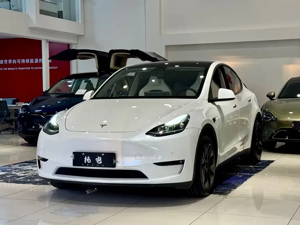 Tesla Model Y — фото 1