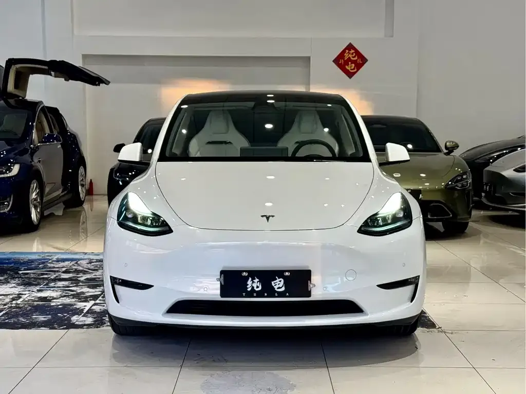 Tesla Model Y — фото 9