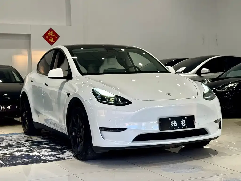 Tesla Model Y — фото 5