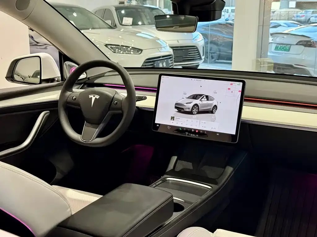 Tesla Model Y — фото 8