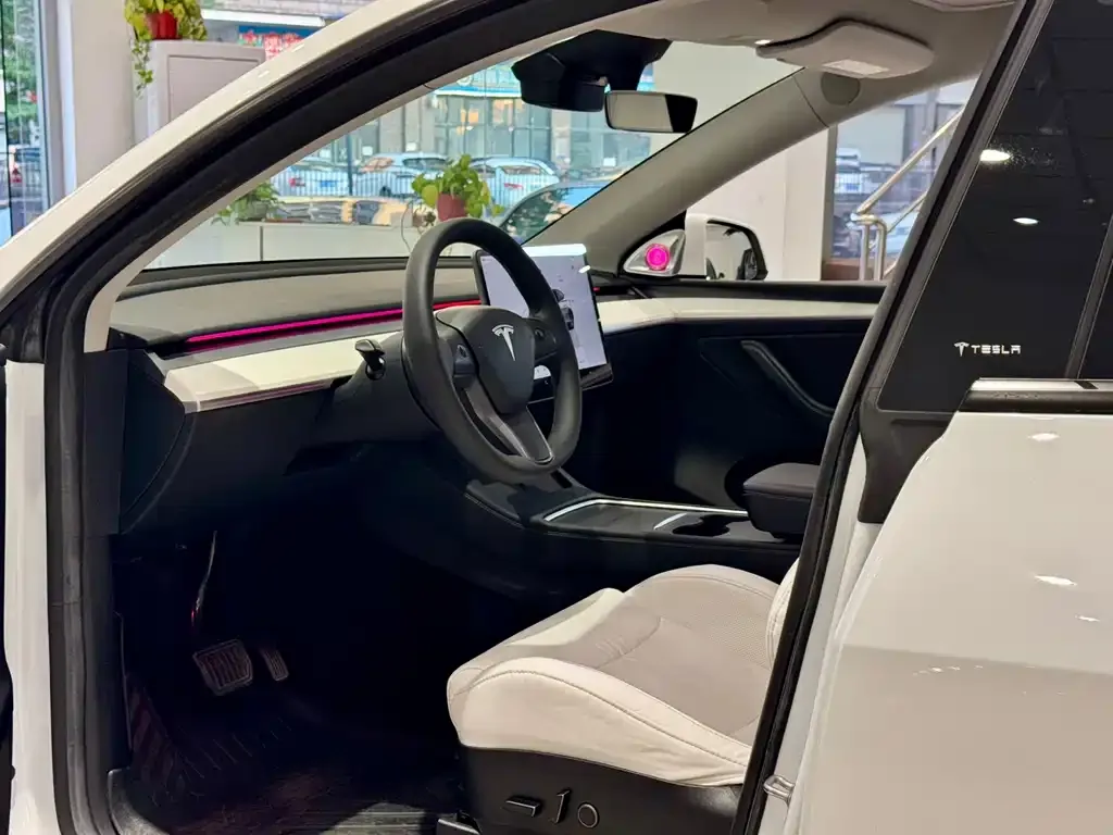 Tesla Model Y — фото 7